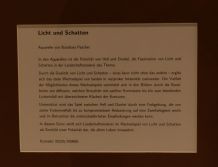 Den Alltag einfach mal abstreifen: Landrat Manfred Müller und Barbara Pascher laden zur Ausstellung „Licht und Schatten“ ein